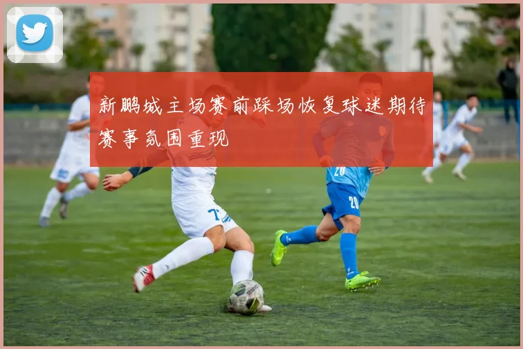 新鹏城主场赛前踩场恢复球迷期待赛事氛围重现